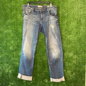 Banana Republic Women's Premium Denim 31L